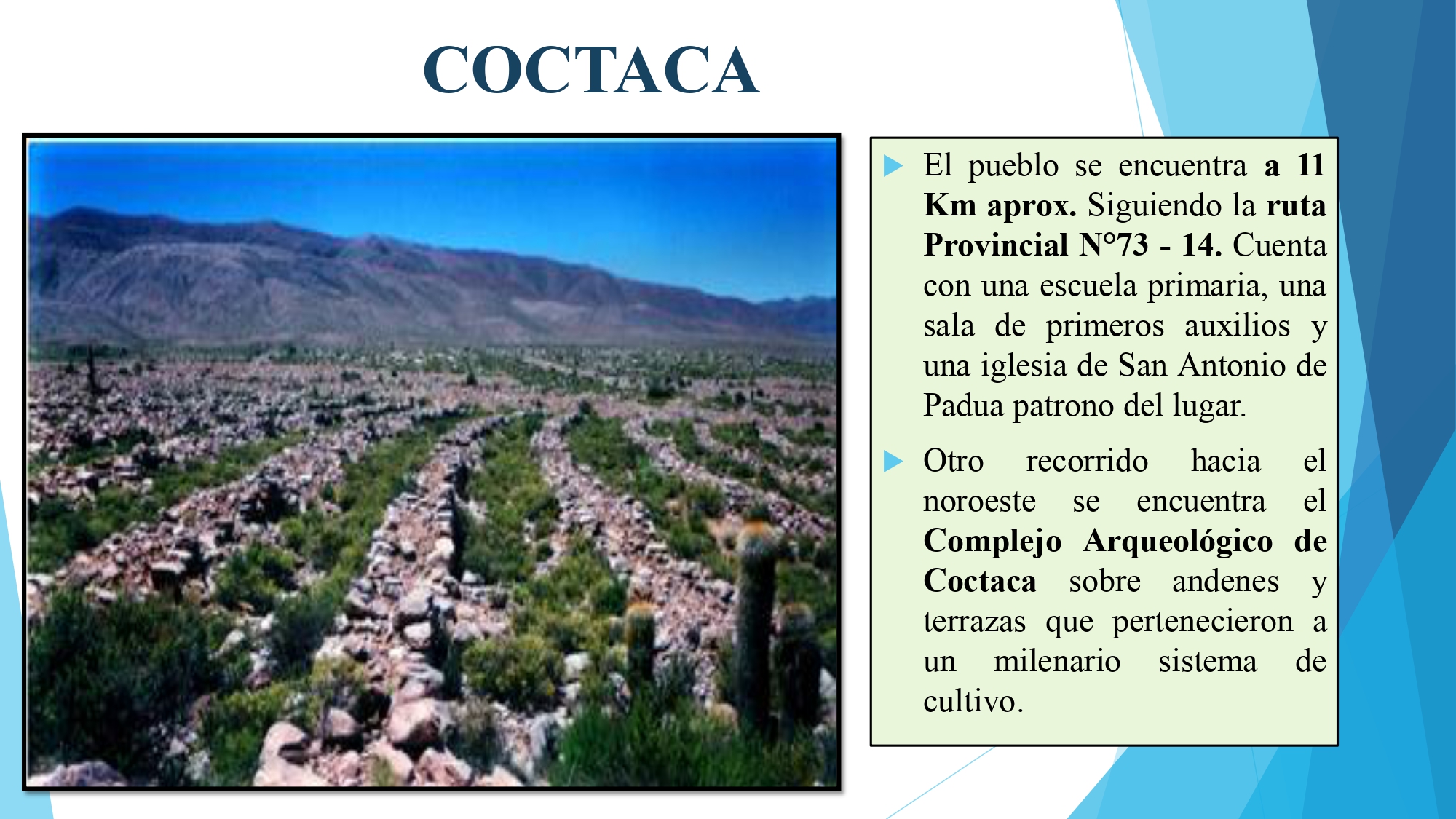 Coctaca
